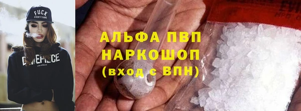 эйфоретик Каменногорск